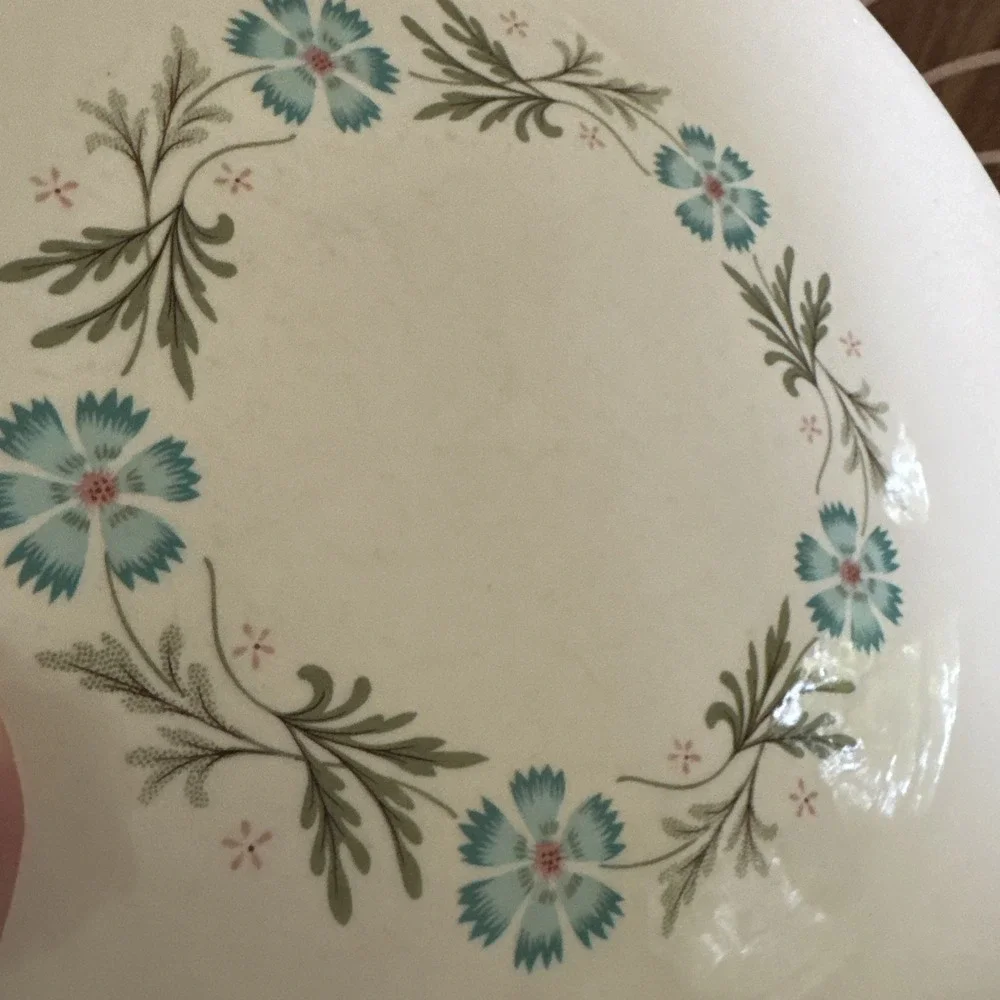Taylor Smith & Taylor Dinner And Salad Plate Bridal Wreath Blue Flowers 10